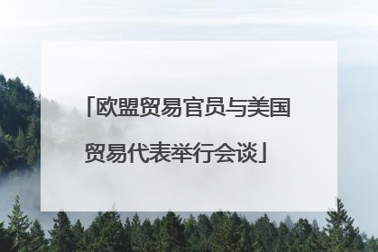 欧盟贸易官员与美国贸易代表举行会谈