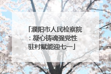 濮阳市人民检察院：凝心铸魂强党性 驻村赋能迎七一