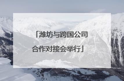 潍坊与跨国公司合作对接会举行