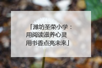 潍坊圣荣小学：用阅读滋养心灵 用书香点亮未来