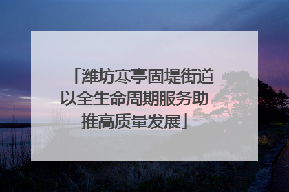 潍坊寒亭固堤街道以全生命周期服务助推高质量发展