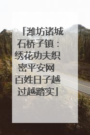 潍坊诸城石桥子镇：绣花功夫织密平安网 百姓日子越过越踏实