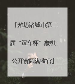 潍坊诸城市第二届“汉车杯”象棋公开赛圆满收官