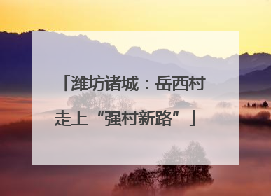 潍坊诸城：岳西村走上“强村新路”