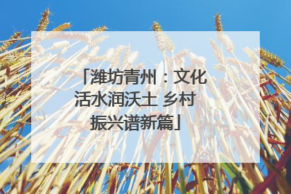 潍坊青州：文化活水润沃土 乡村振兴谱新篇