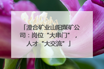 澄合矿业山阳煤矿公司：岗位“大串门”，人才“大交流”