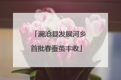 澜沧县发展河乡首批春蚕茧丰收