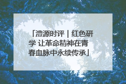 澧源时评｜红色研学 让革命精神在青春血脉中永续传承