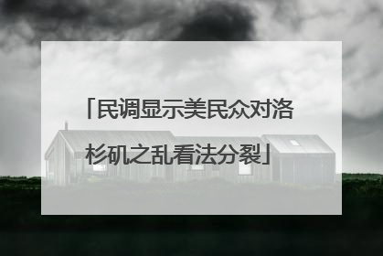 民调显示美民众对洛杉矶之乱看法分裂