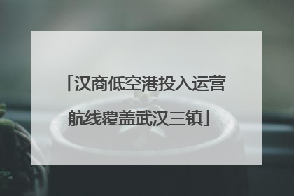 汉商低空港投入运营 航线覆盖武汉三镇