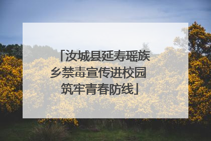 汝城县延寿瑶族乡禁毒宣传进校园 筑牢青春防线