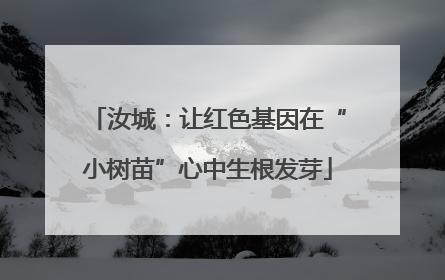 汝城：让红色基因在“小树苗”心中生根发芽