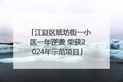 江夏区纸坊街一小区一年逆袭 荣获2024年示范项目