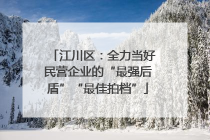 江川区：全力当好民营企业的“最强后盾”“最佳拍档”