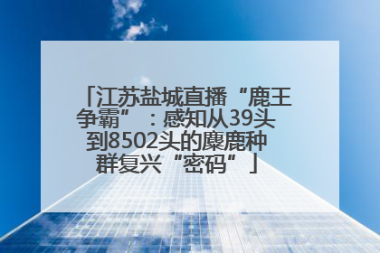 江苏盐城直播“鹿王争霸”：感知从39头到8502头的麋鹿种群复兴“密码”