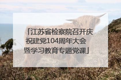 江苏省检察院召开庆祝建党104周年大会暨学习教育专题党课
