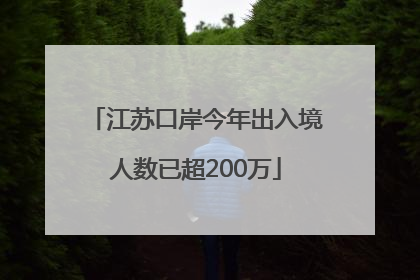 江苏口岸今年出入境人数已超200万