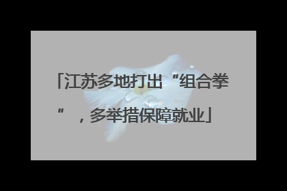 江苏多地打出“组合拳”，多举措保障就业
