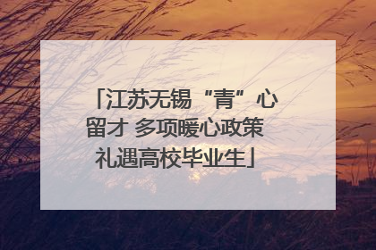 江苏无锡“青”心留才 多项暖心政策礼遇高校毕业生