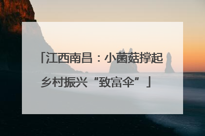 江西南昌：小菌菇撑起乡村振兴“致富伞”