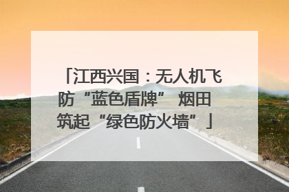 江西兴国：无人机飞防“蓝色盾牌” 烟田筑起“绿色防火墙”