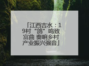 江西吉水：19村“鸽”鸣致富曲 奏响乡村产业振兴强音