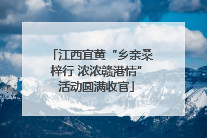 江西宜黄“乡亲桑梓行 浓浓赣港情”活动圆满收官