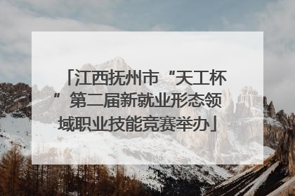 江西抚州市“天工杯”第二届新就业形态领域职业技能竞赛举办