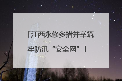江西永修多措并举筑牢防汛“安全网”