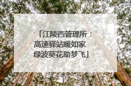 江陵西管理所：高速驿站暖如家 绿波葵花助梦飞