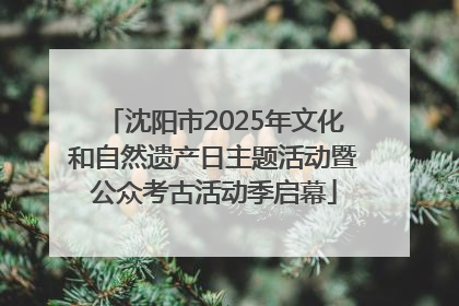 沈阳市2025年文化和自然遗产日主题活动暨公众考古活动季启幕