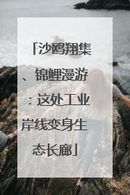 沙鸥翔集、锦鲤漫游：这处工业岸线变身生态长廊