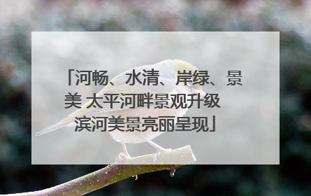 河畅、水清、岸绿、景美 太平河畔景观升级 滨河美景亮丽呈现