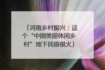 河南乡村振兴：这个“中国美丽休闲乡村”地下民宿很火