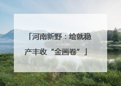 河南新野：绘就稳产丰收“金画卷”