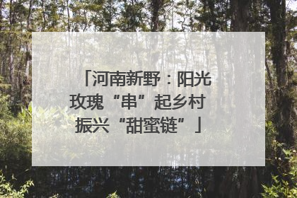 河南新野：阳光玫瑰“串”起乡村振兴“甜蜜链”