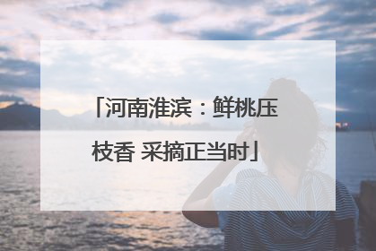 河南淮滨：鲜桃压枝香 采摘正当时