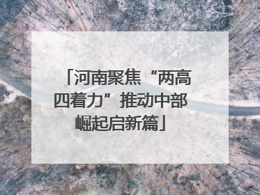 河南聚焦“两高四着力”推动中部崛起启新篇