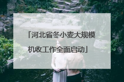 河北省冬小麦大规模机收工作全面启动