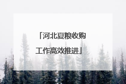 河北夏粮收购工作高效推进