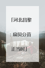河北昌黎：扇贝分苗正当时