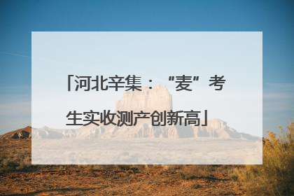 河北辛集：“麦”考生实收测产创新高