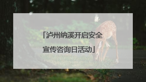泸州纳溪开启安全宣传咨询日活动