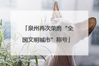 泉州再次荣膺“全国文明城市”称号