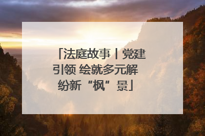 法庭故事丨党建引领 绘就多元解纷新“枫”景