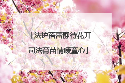 法护蓓蕾静待花开 司法育苗情暖童心