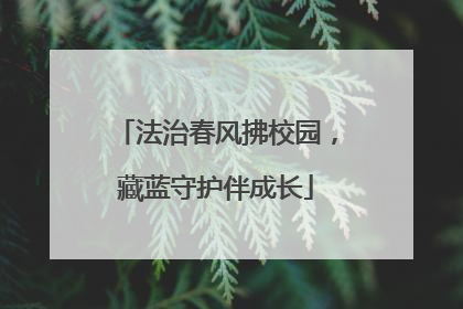 法治春风拂校园，藏蓝守护伴成长