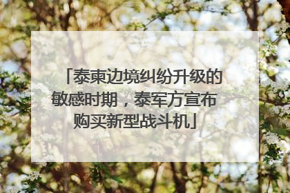 泰柬边境纠纷升级的敏感时期，泰军方宣布购买新型战斗机