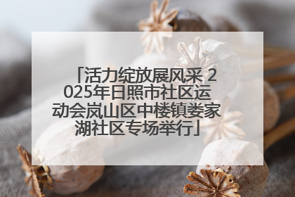 活力绽放展风采 2025年日照市社区运动会岚山区中楼镇娄家湖社区专场举行