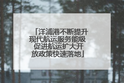 洋浦港不断提升现代航运服务能级 促进航运扩大开放政策快速落地